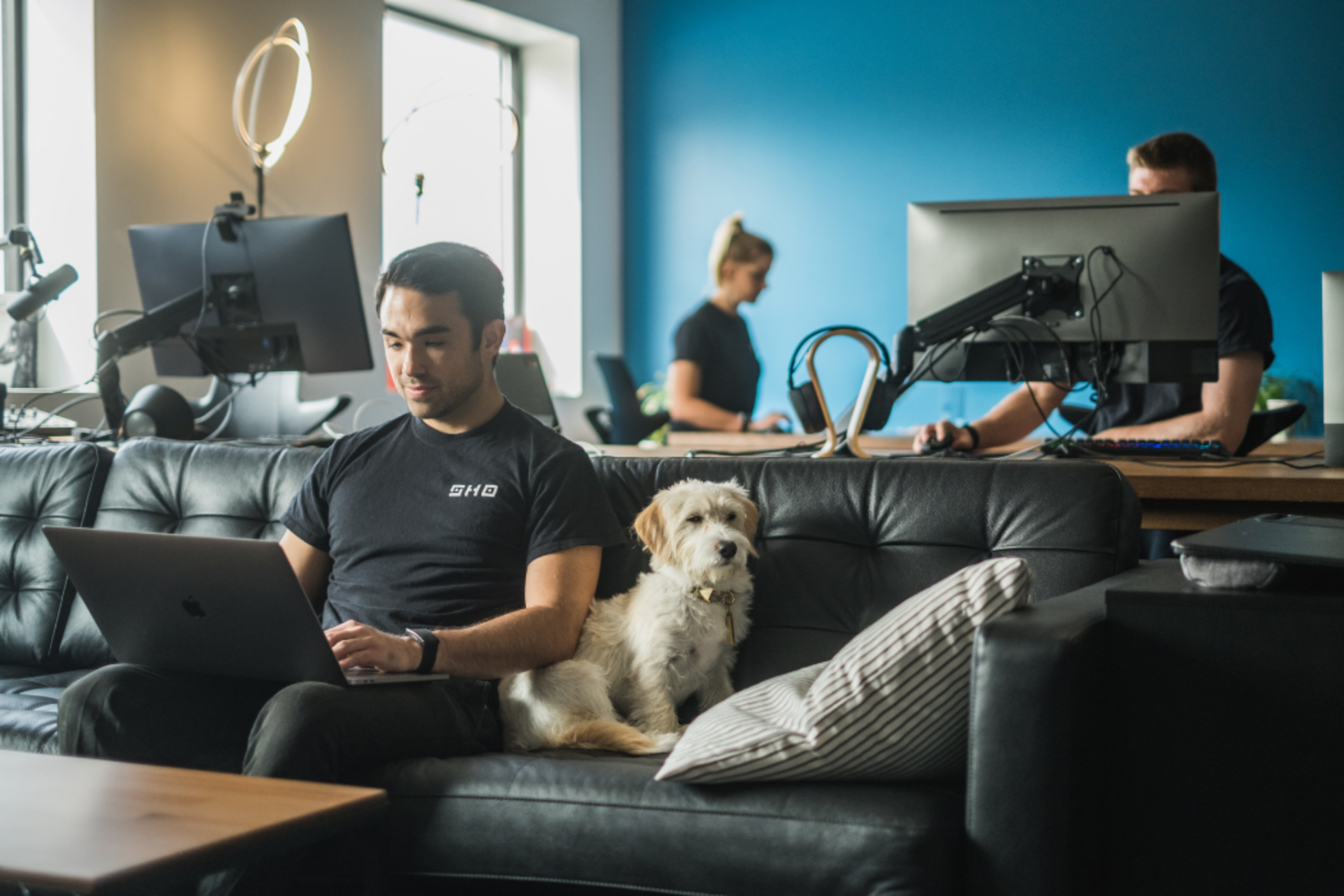The sho.ai team working in their office. A man on a couch with a small dog curled up is in the foreground
