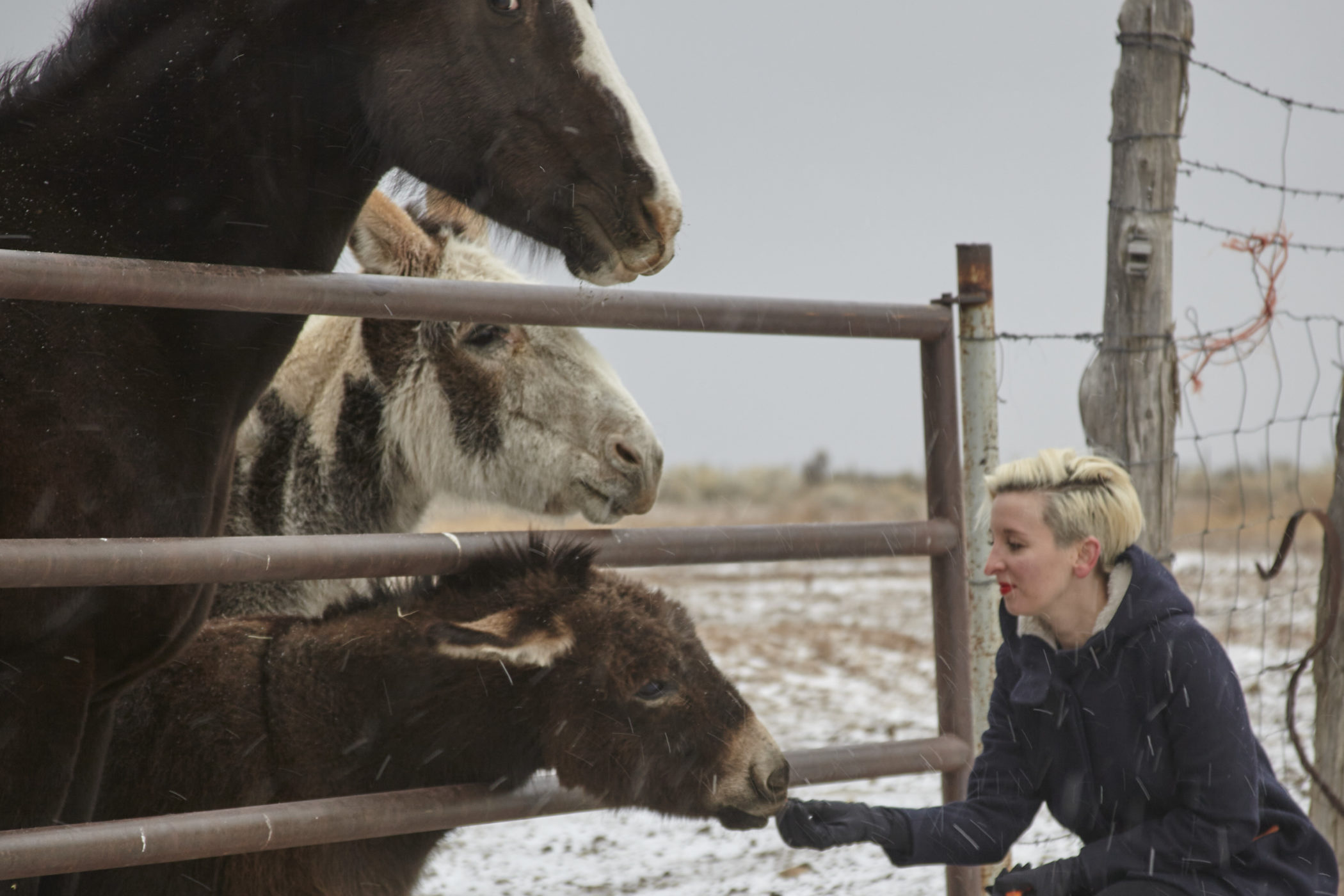 Lili Rusing feeds animals near her home