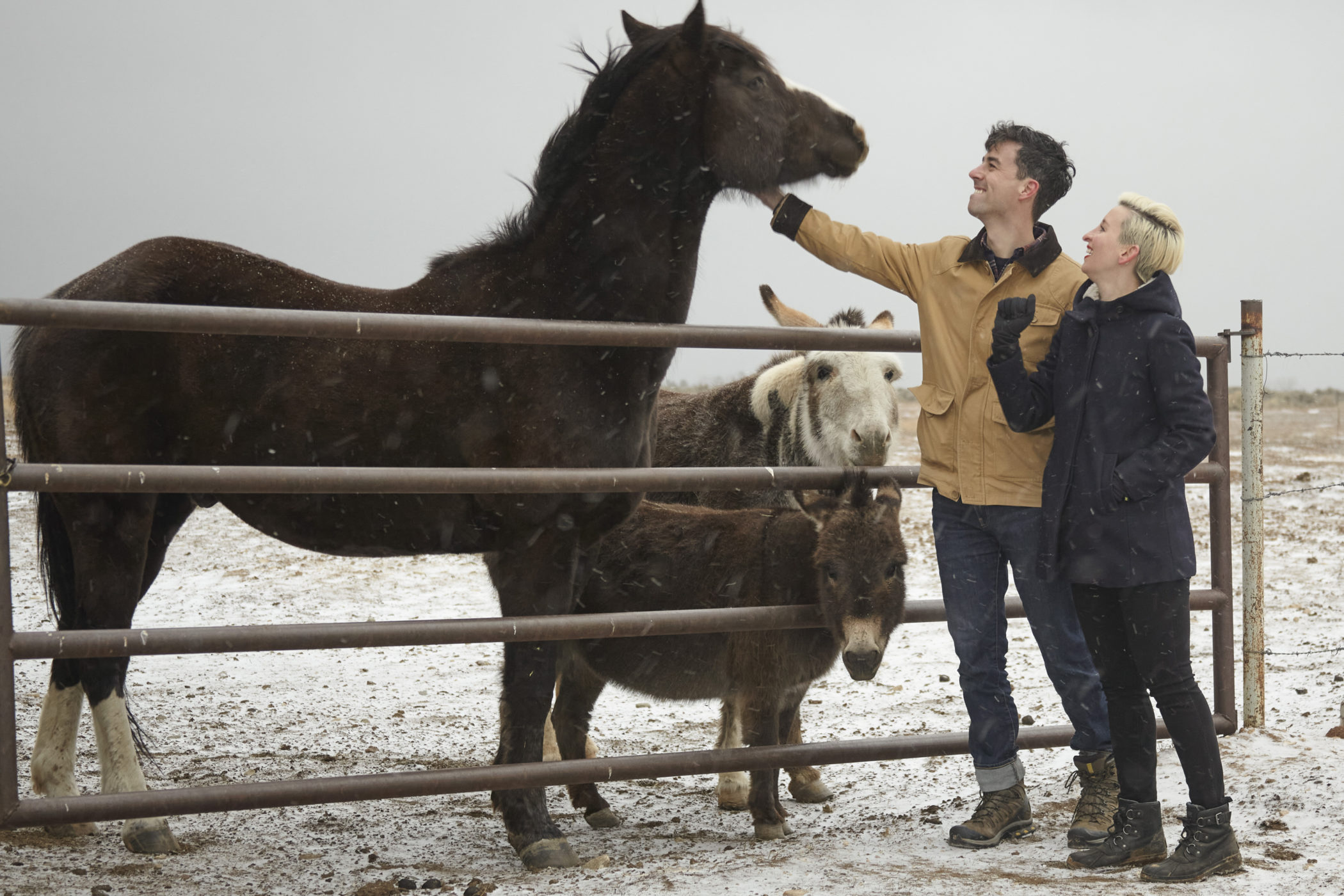 Nate Berkopec and Lili Rusing pet the animals near their home