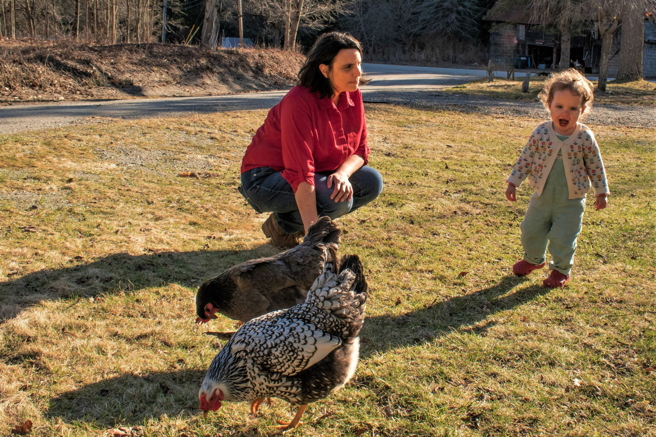 Cara Tyrrell interacting with a toddler and two chickens