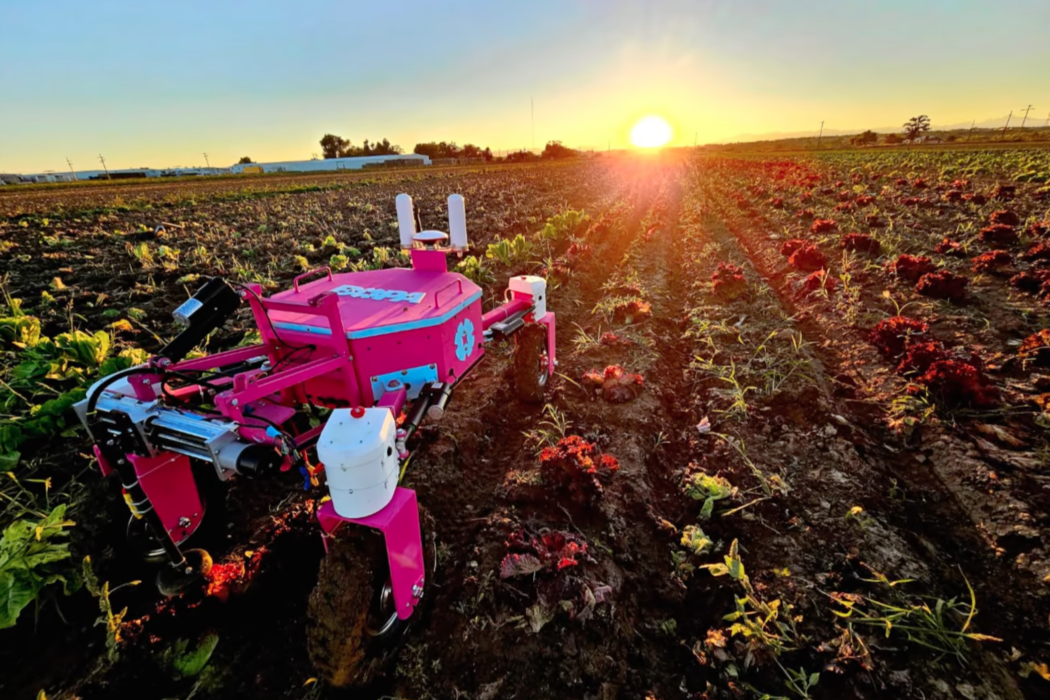 BOPA Autonomous Nano Tractor (ANT) in a farm field at sunrise.